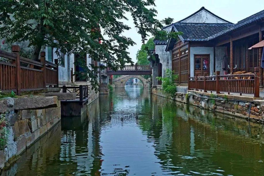 小乌龟逃亡记